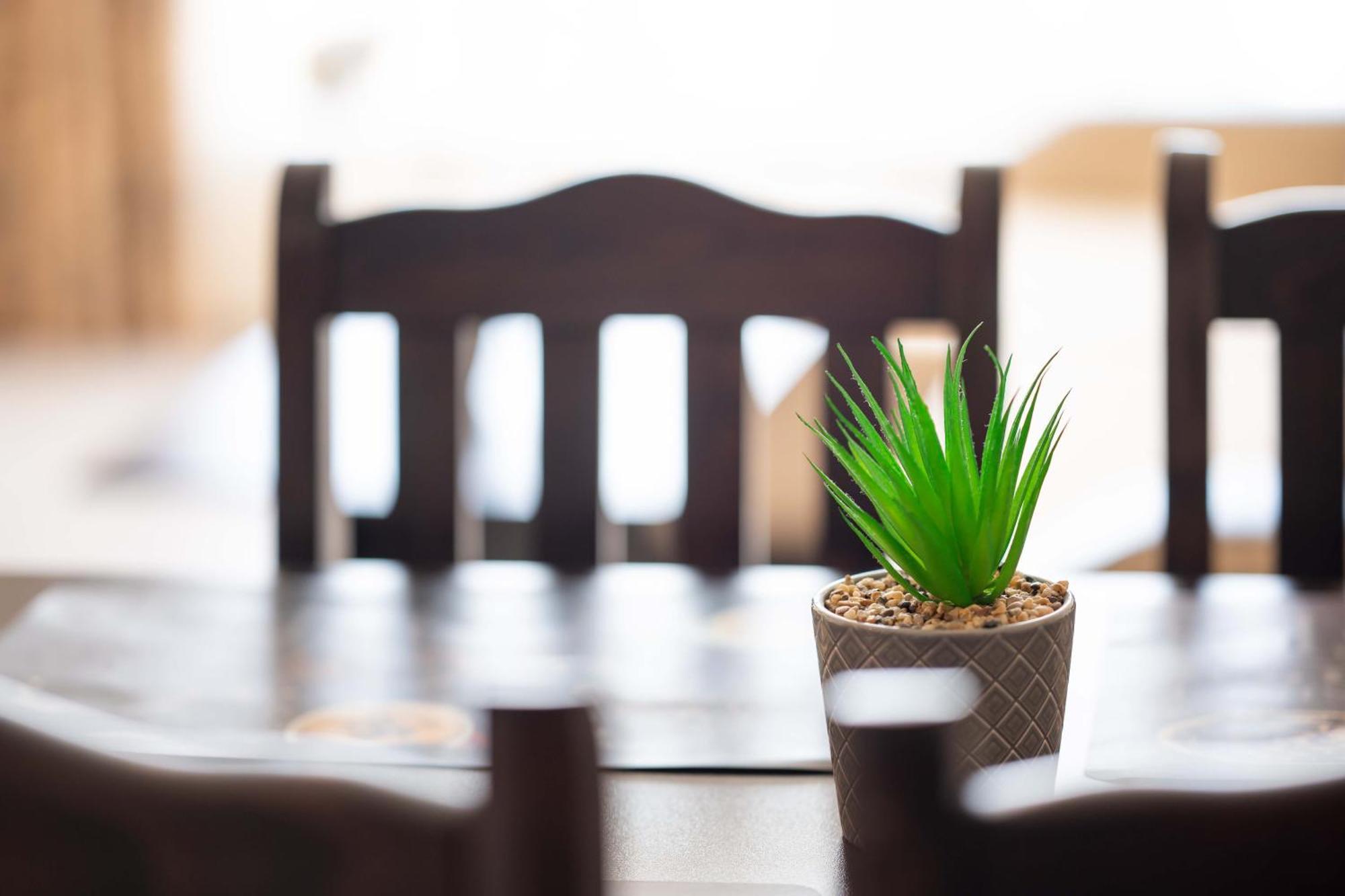 Sveti Vlas Apartments Ngoại thất bức ảnh
